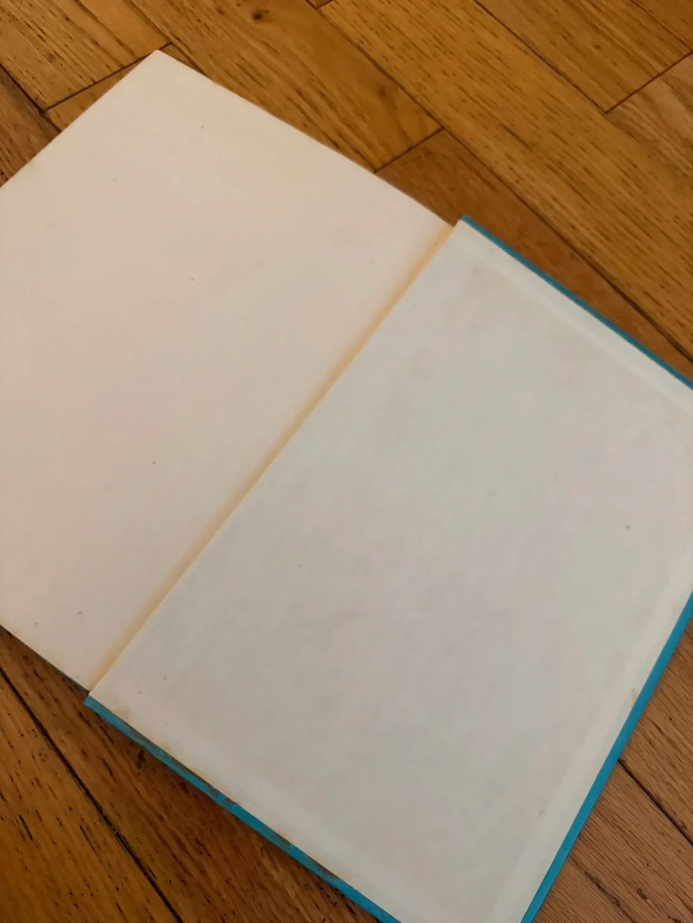 Disney Blue Picture Book - Words That Tell You About Things